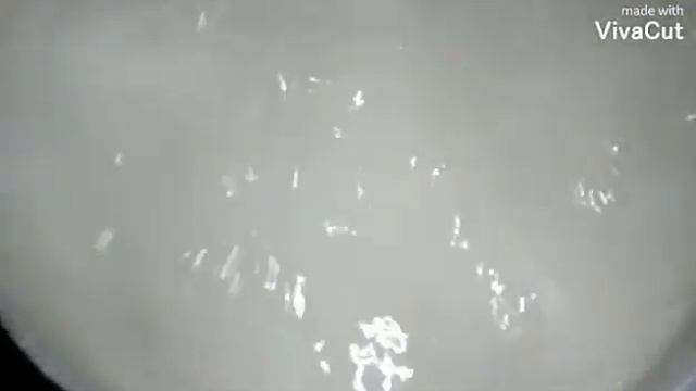 Сало в рассоле -,,Пятиминутка,,. Идеальная закуска на все случаи жизни.