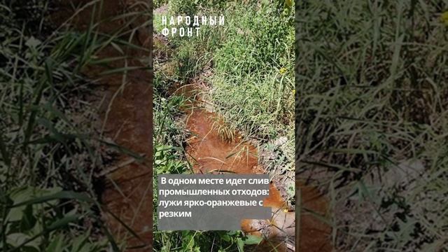 Воронежскую нагорную дубраву снова травят токсичными отходами.mp4