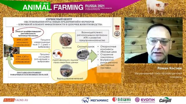 Союз производителей говядины: нужно утроить поголовье КРС смотреть онлайн