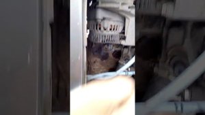 Почему не заводится калина ? Вопрос решен!