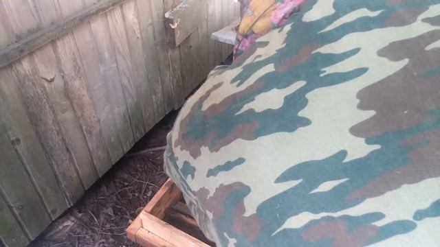 Кормление пчел осенью сахарным сиропом. Осмотр отводков на наличие расплода и матки. 03.09.2018. смотреть онлайн