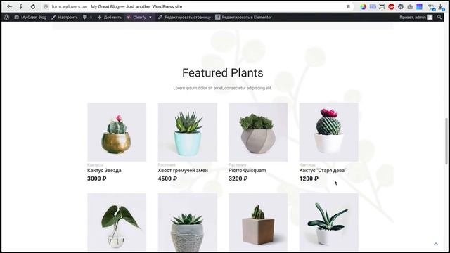 ТОП 5 аддонов для Elementor