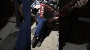 Шансон под гармонь. Поцелуй меня удача.