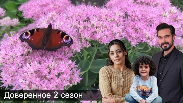 Последняя минута! Халил Ибрагим Джейхан будет очень расстроен этой новостью! ДОВЕРЕННОЕ!