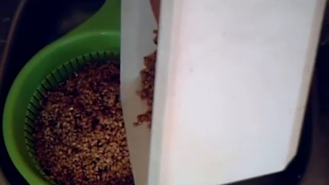 День 3. (утро) Промывание зерна. смотреть онлайн