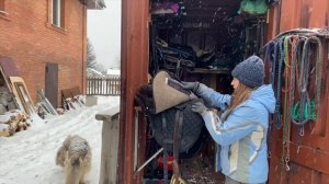 Безленчиковое седло Barefoot и Comfy. Сравнение