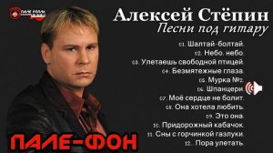 Алексей Стёпин - Песни под гитару.