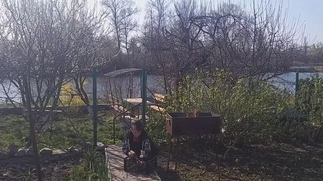Развожу костёр и готовлю сосиски на мангале
