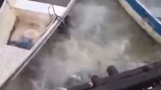 ЭТИ ВОДОЁМЫ КИШАТ КРОВОЖАДНЫМИ ПИРАНЬЯМИ смотреть онлайн