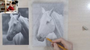 Как нарисовать лошадь карандашом