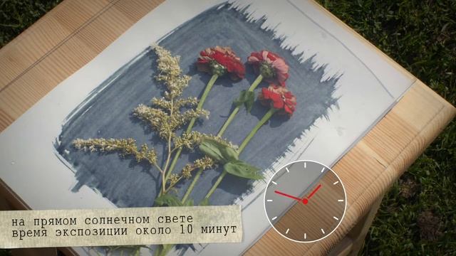 Цианотипия. 26 выпуск.