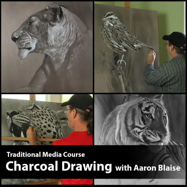 1 charcoal lesson introduction