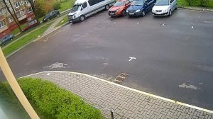 Ворона бросает камни в пике.