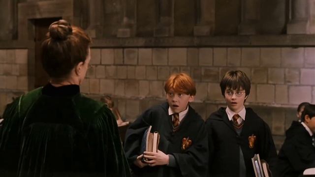 Профессор Макгонагалл ( Гарри и Рон опоздали)??⬛ смотреть онлайн