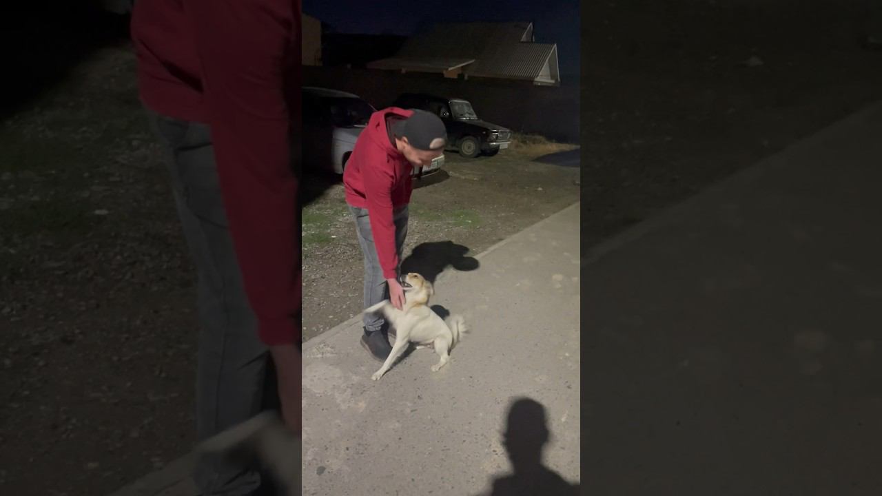 #можноястобой смотреть онлайн