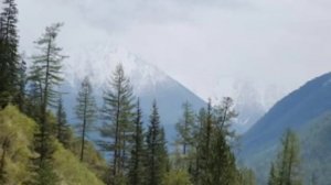 Горный Алтай. Отдых. Конный тур