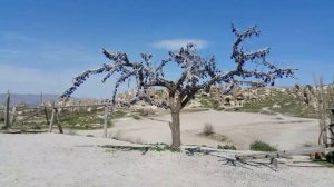 CAPPADOCIA / КАППАДОКИЯ - путешествие в сказку!