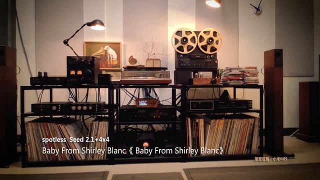 Spotless Best Mini HiFi Sound System: Seed 2.1 Mini HiFi Speaker + Seed 4x4 Powered Subwoofer Tower