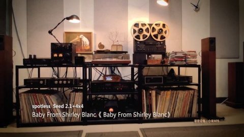 Spotless Best Mini HiFi Sound System: Seed 2.1 Mini HiFi Speaker + Seed 4x4 Powered Subwoofer Tower