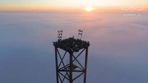 Снесли михайловскую вышку в Караганде, высотой 245 метров.