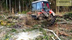 Лесные грабли МТЗ Горыныч Т15