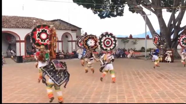 Shotis "Pablo y su trombon" Danza de la Pluma. смотреть онлайн