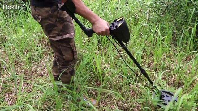 Metal Detector Gold