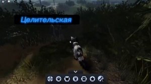 ОБЗОР НА ОБНОВЛЕНИЕ *На территорию* В КОТАХ ВОИТЕЛЯХ ROBLOX!