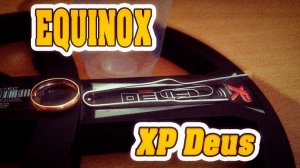 XP Deus  , Equinox 800 , Кольцо Стаканчик  Скрепки .3Д тест