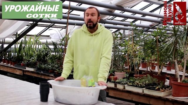 Не упустите шанс получить крепкую рассаду! Магнит для корней - самый простой способ. смотреть онлайн