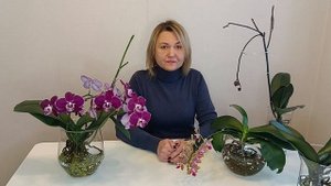Что делать со старым цветоносом ?Уход за орхидей после цветения.