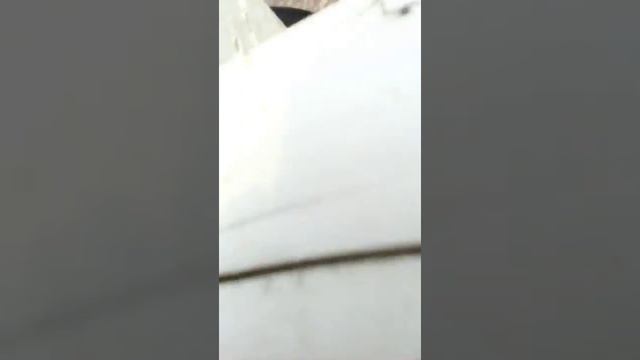 МОЯ КОШКА ЧУТЬ НЕ УПАЛА С 4 ЭТАЖА!!!! смотреть онлайн