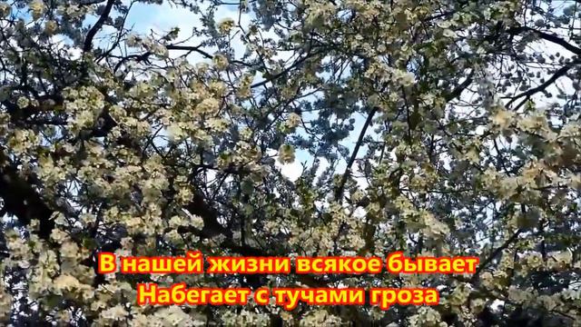 Хороши весной в саду цветочки