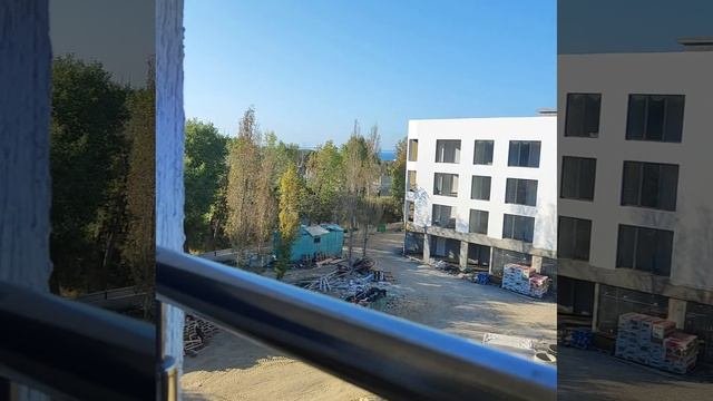 Отстойный вид