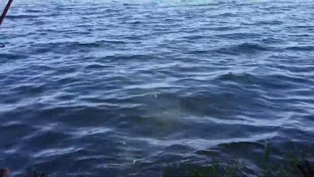 Заряжай без проводов! Запилили видос на рыбалке с #ENERGYZONETEAM! смотреть онлайн