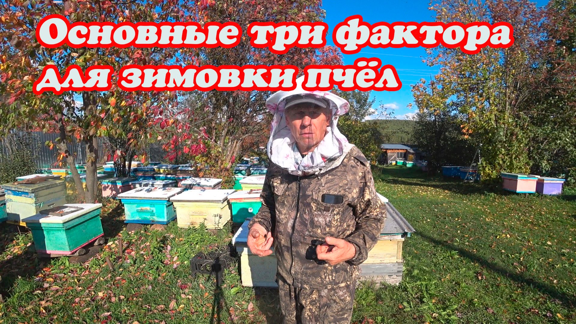 ОСНОВНЫЕ ТРИ ФАКТОРА ДЛЯ ЛУЧШЕЙ ЗИМОВКИ, ПЧЕЛОВОД СДЕЛАЙ ЭТО И БУДЬ СПОКОЕН.