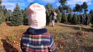 ВЫБРАЛИ ёлочку на НОВЫЙ ГОД на ЁЛОЧНОЙ ФЕРМЕ!