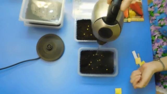 ???КАК РЕАНИМИРОВАТЬ ПРОСРОЧЕННЫЕ СЕМЕНА . смотреть онлайн