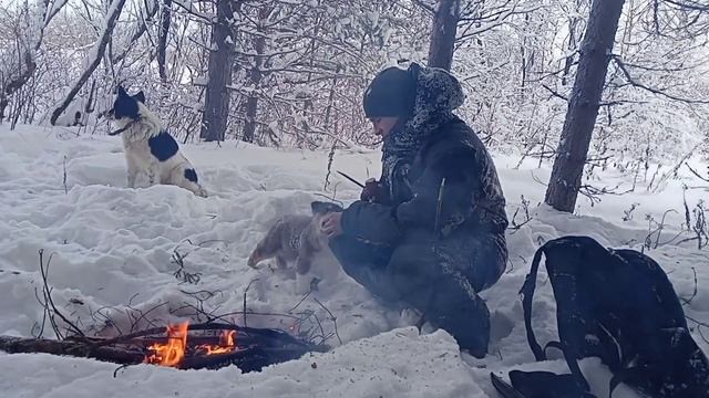 Тест на выносливость. В лес с маленьким ЩЕНКОМ. Отдых у костра. Лесными тропами. смотреть онлайн