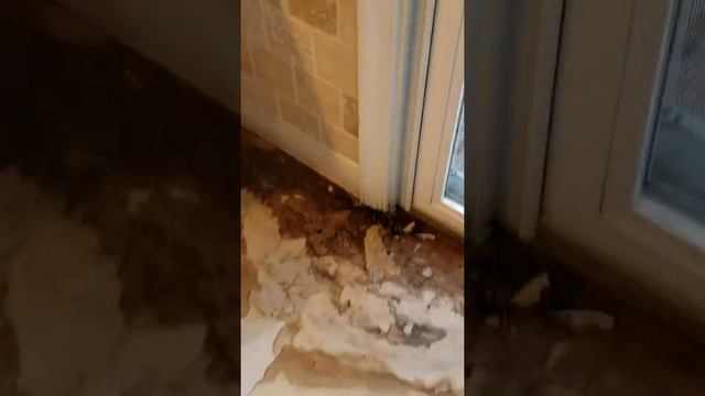 Removing vinyl flooring to prepare for ceramic tile смотреть онлайн