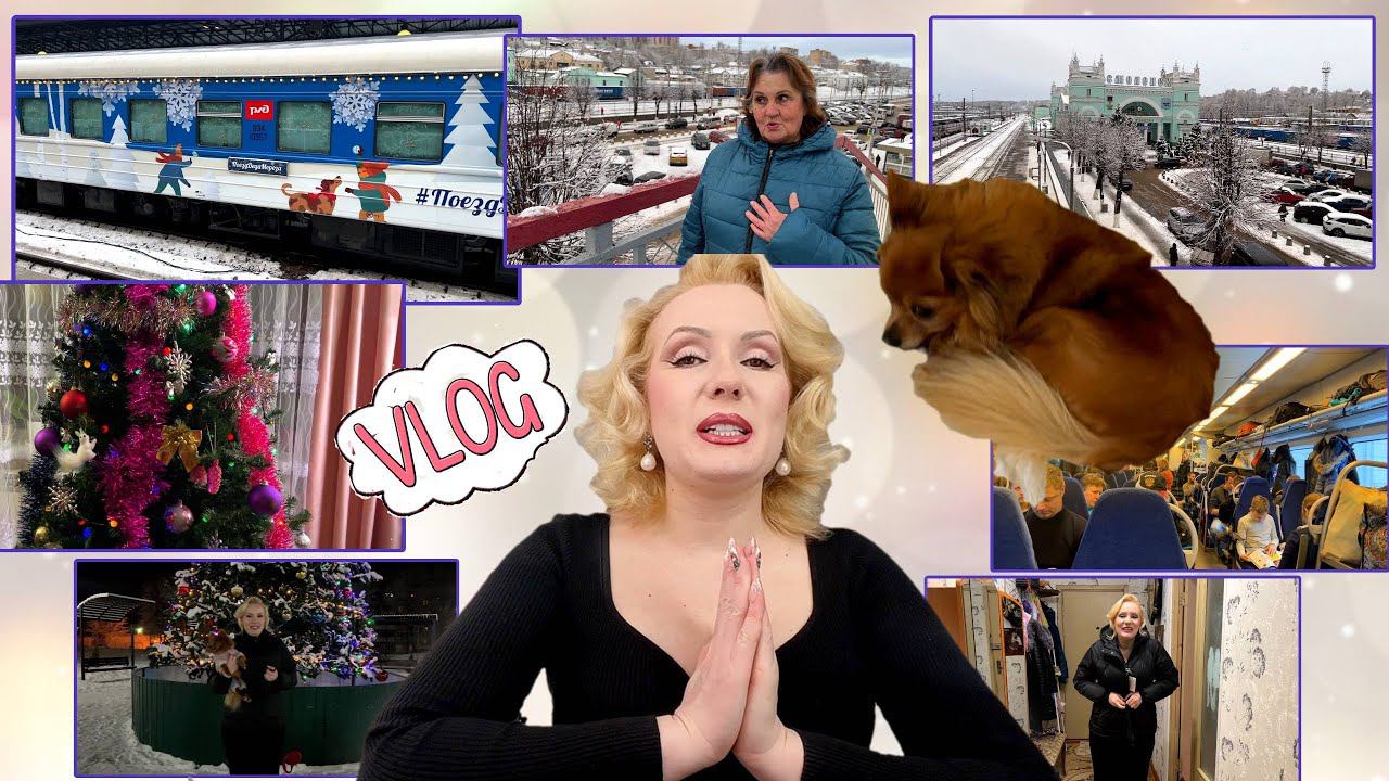 VLOG С МАМОЙ//НОВОГОДНИЙ ПОЕЗД, ВСТРЕЧА С МАМОЙ//НАСТОЯЩИЕ ВОЛКИ В ПОСЕЛКЕ и пр.
