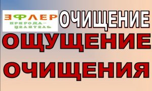 НА ГРАНЕ СРЫВА. Полёт отличный, крылья отваливаются... В чём опасность периода очищения?