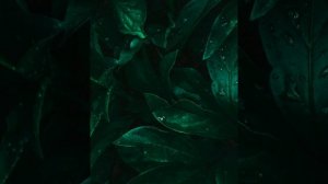 174 Hz - 174 Гц - обезболивающая частота.           #медитация #частотабога#музыка#биоэнергетика