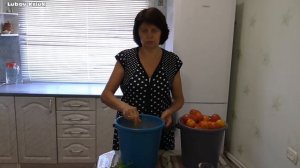 Засолка помидор на зиму Видео рецепт