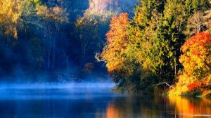 ШИКАРНАЯ МУЗЫКА И ПРИРОДА ПОД ДЖЕЙМСА ЛАСТА