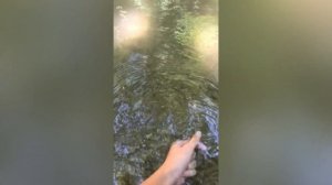 Ловля голавля в Крыму, горная река Бельбек.