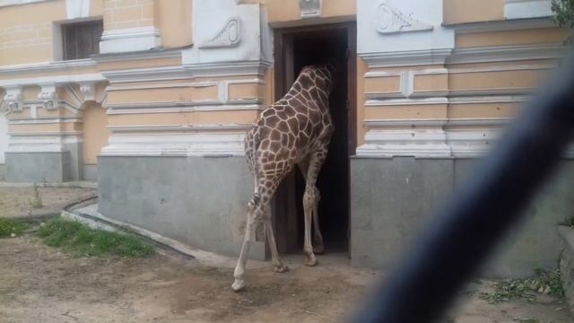 Всё пацаны.. Я домой смотреть онлайн