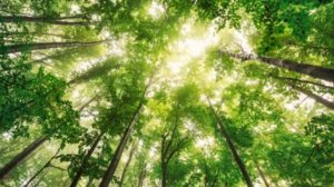 А.В.Клюев-Процесс Духовной Эволюции - слух, мышление, речь, вкус, вибрации человека, перспективы 3/