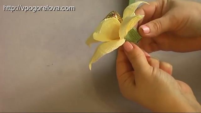 18 видов цветов: Лилия смотреть онлайн