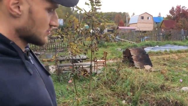 Как посадить грецкий орех, грушевые и смородину в Сибири. Дачные будни. Часть 10 смотреть онлайн